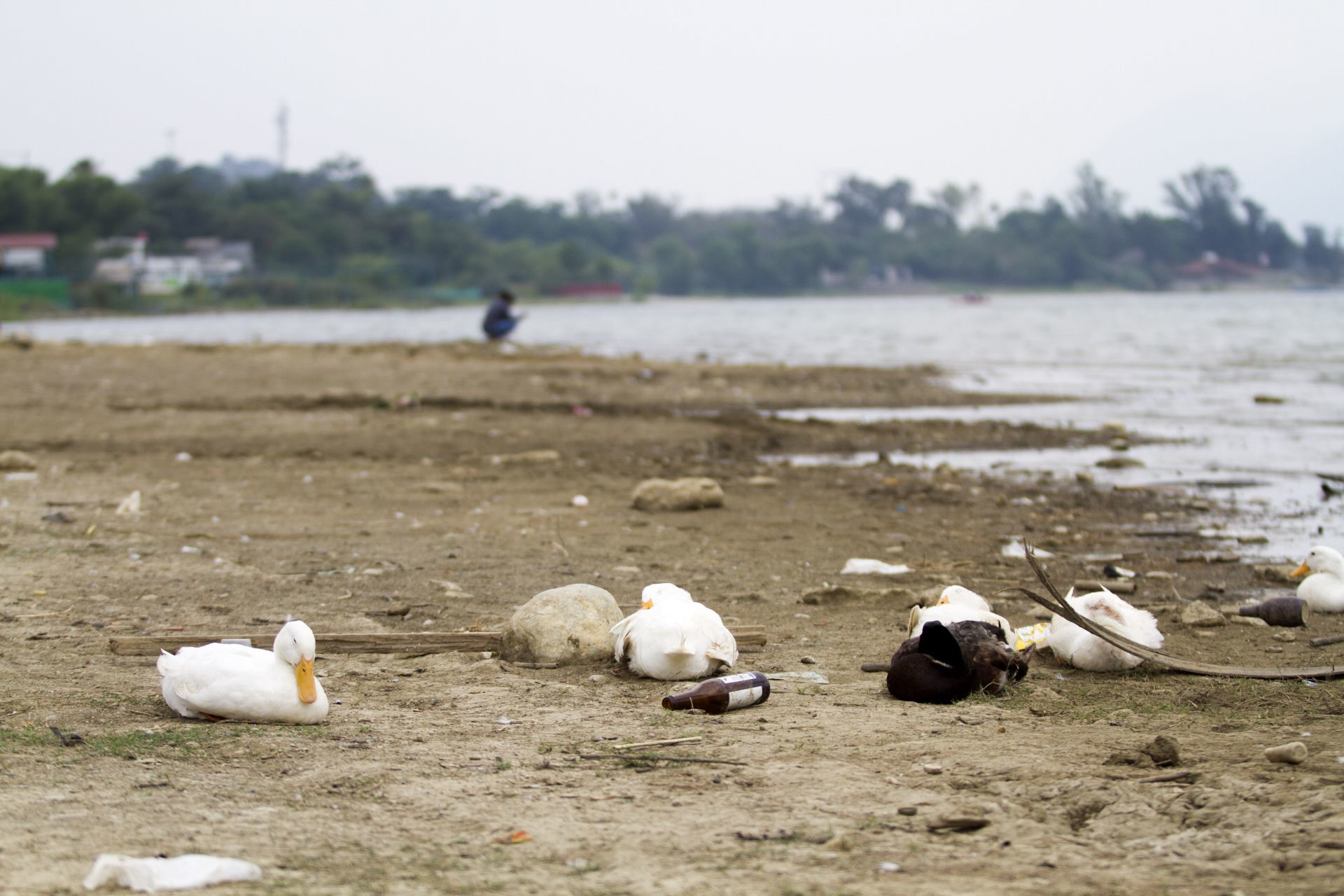 SANTIAGO, NUEVO LEÓN, 11MAYO2021.- Ante una sequía que afecta a más de la mitad de los municipios de Nuevo León, las Presas del estado han disminuido considerablemente su capacidad. Según datos de la Conagua, la presa de la Boca en Santiago, Nuevo León se encuentra en un 72%, de su capacidad, la presa de Cerro Prieto en un 17.03%, siendo ésta la más afectada y la presa El Cuchillo está en 53.11%. FOTO: GABRIELA PÉREZ MONTIEL / CUARTOSCURO.COM