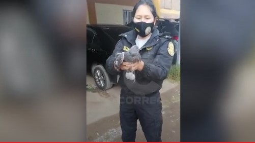 Foto Captura Correo.