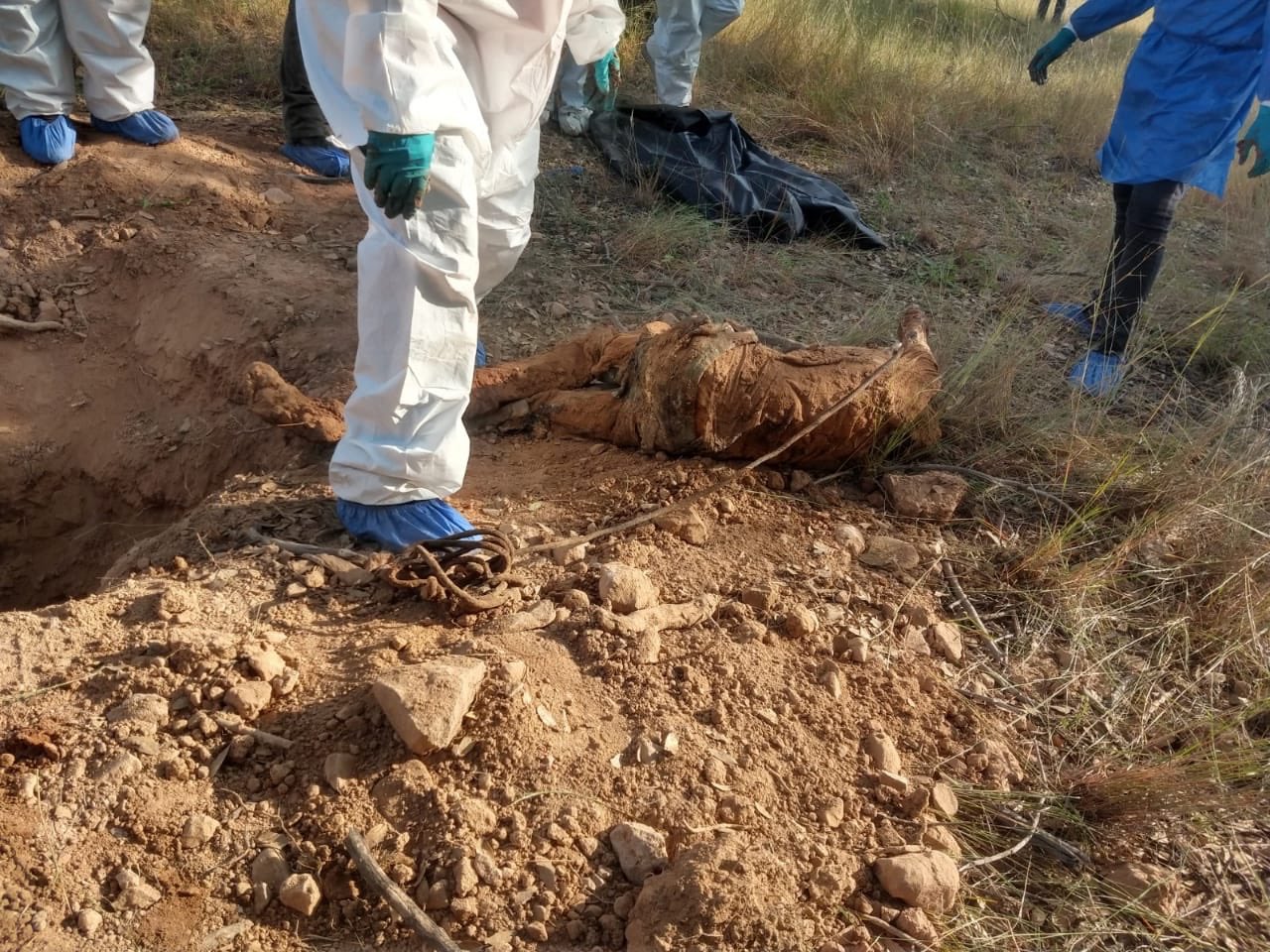 La entidad de Sonora ha sido motivo de disputas entre grupos criminales (Foto: Twitter/buscadorasonora)