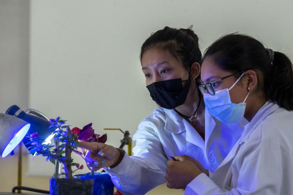 COAR. (Foto: Andina)