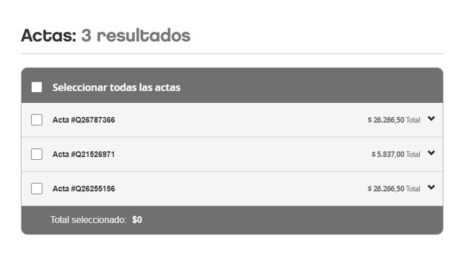 Las multas vinculadas al BMW conducido por Patricelli.