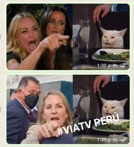 Memes de María del Carmen Alva. Fuente: Redes Sociales.