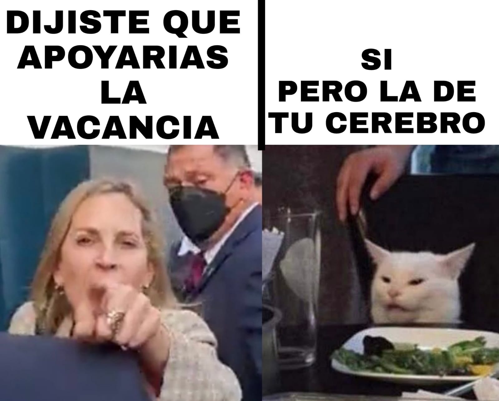 Memes de María del Carmen Alva. Fuente: Redes Sociales.