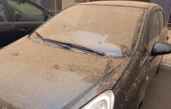 Trucos para limpieza de carros. (Foto: Captura)