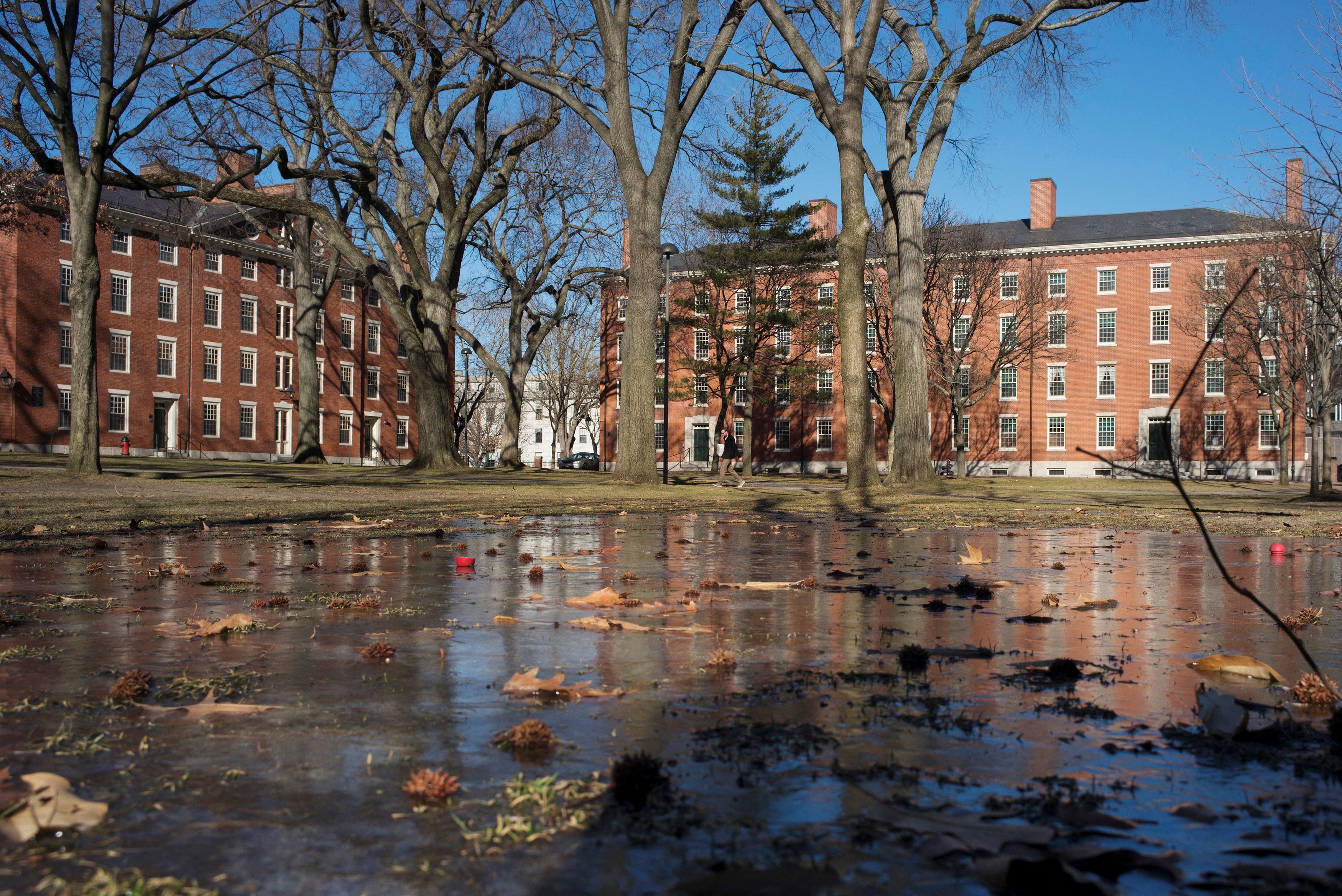FILE PHOTO: Buildings in Harvard Yard are reflected in frozen puddle at Harvard University in Cambridge, Massachusetts January 20, 2015. REUTERS/Brian Snyder//File Photo