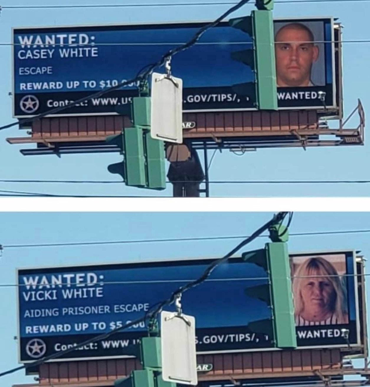 Vicky White les había dicho a sus compañeros de trabajo que se llevaría al recluso de la cárcel para una evaluación de salud mental en el juzgado, (Foto: Twitter / @Nerdy_Addict)