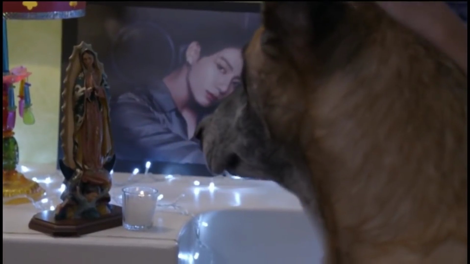 La Rosa de Guadalupe dedica capítulo a Jungkook, miembro de BTS. Captura.